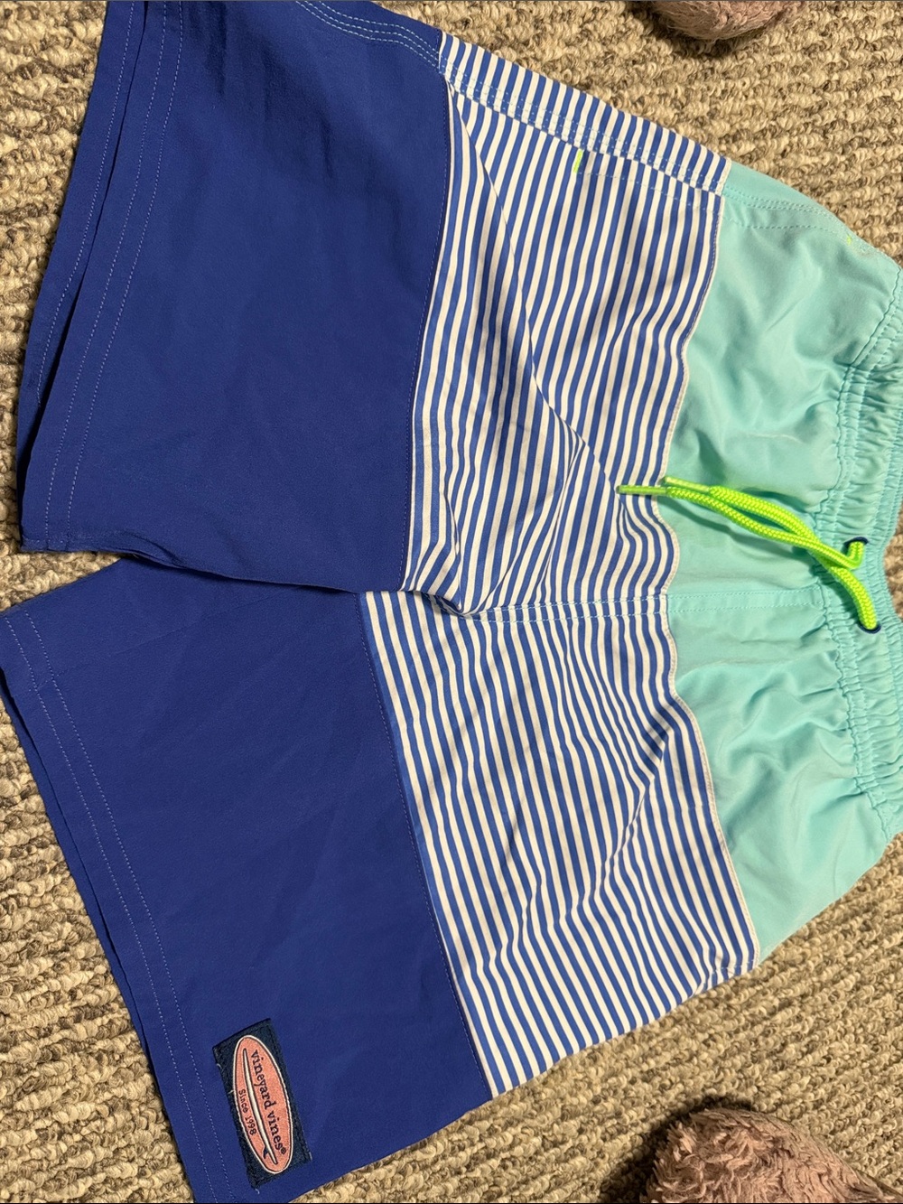 Vineyard Vines Boys Blue Stripe & Mint Swim Trunks